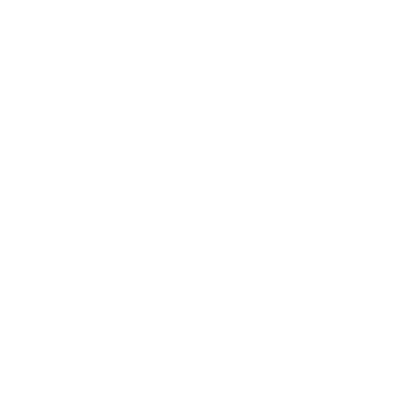 313 Family Office